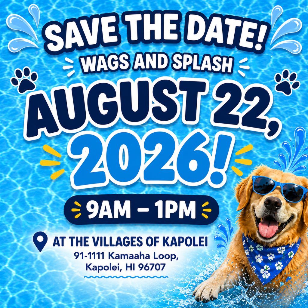 Wags & Splash